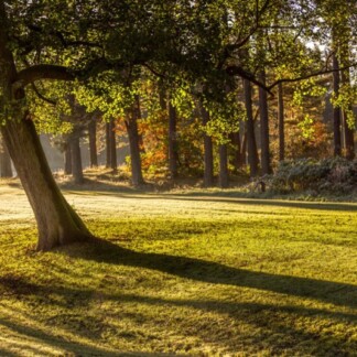 Image of First Morning Rays by Noel Fenech Photography